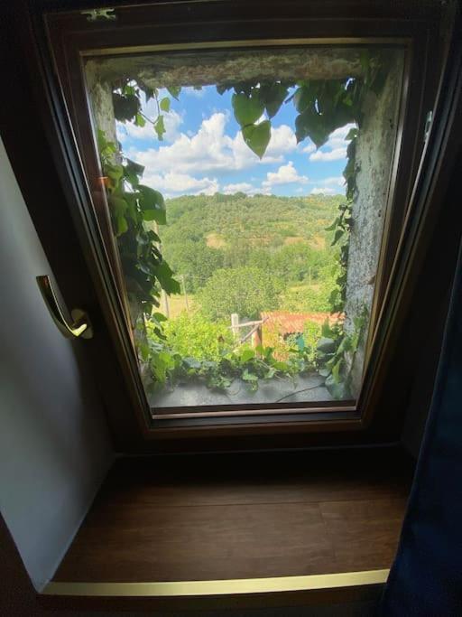 Dimora Bella Civita Bagnoregio